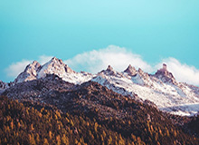 开云体育下载：一键开启的专属体育娱乐新体验